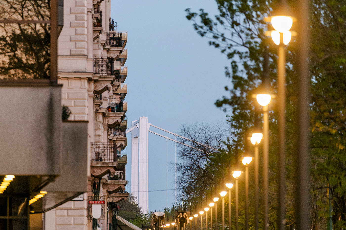 Elizabeth Bridge from Dunakorzó #1091