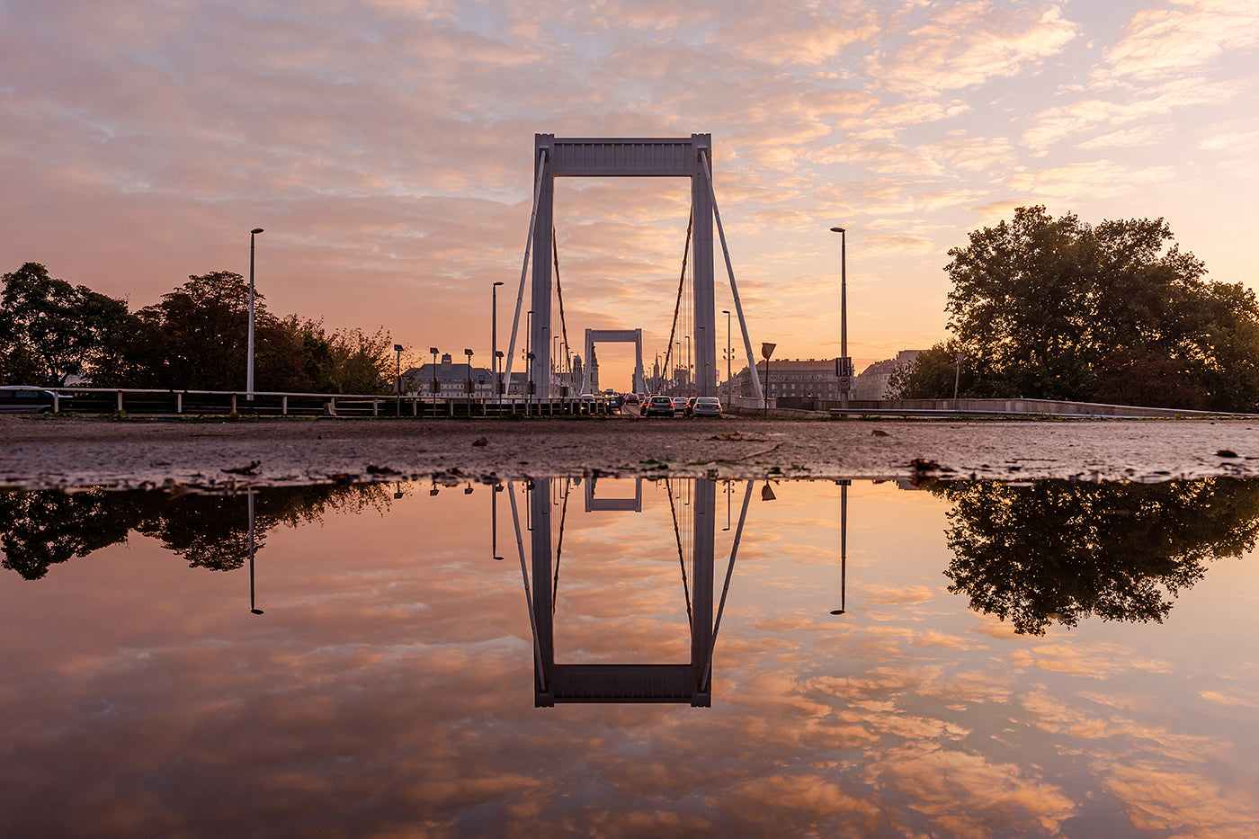 Elizabeth Bridge reflected in a puddle #1100