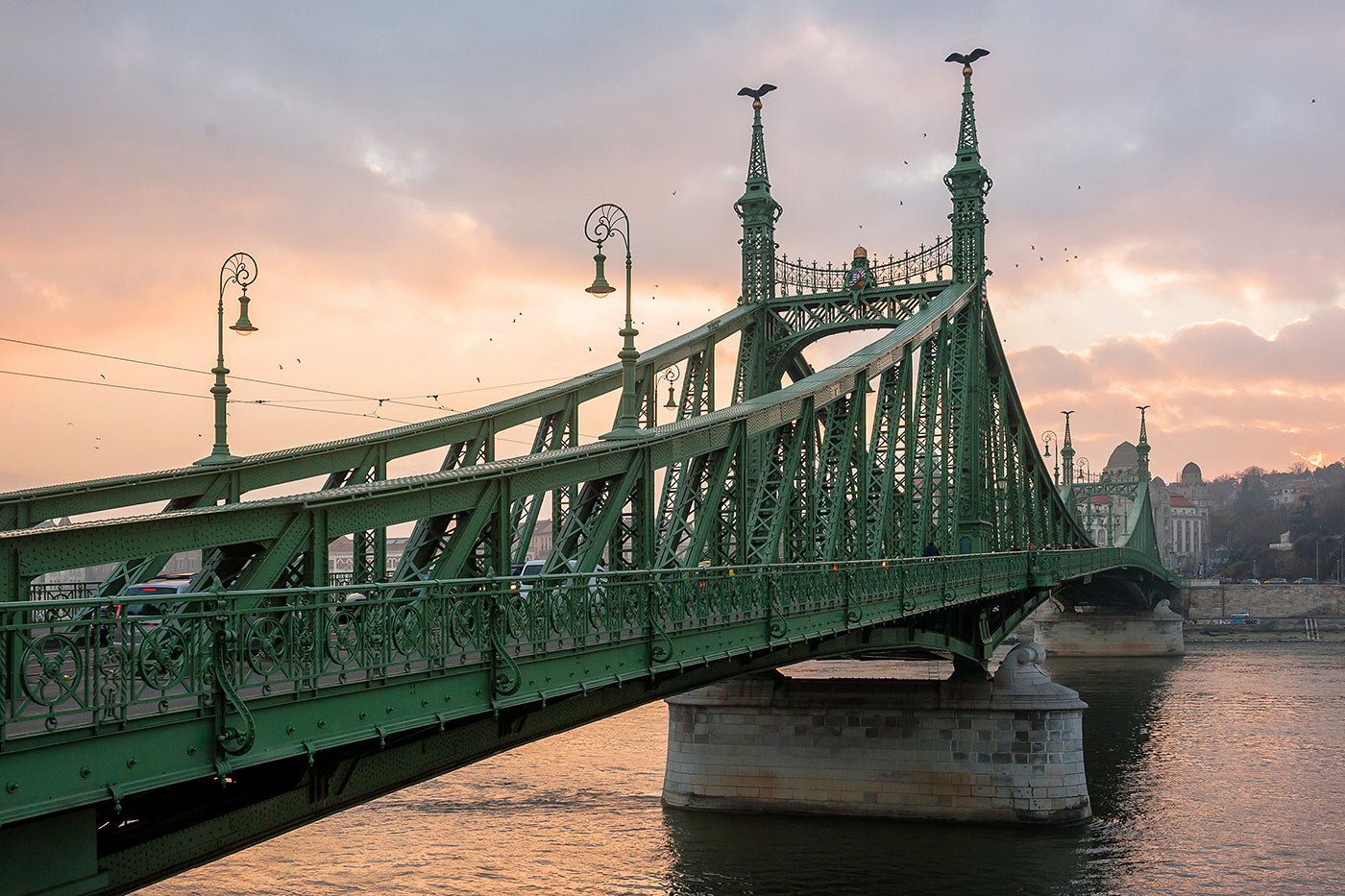 Liberty Bridge in autumn at sunset #1115