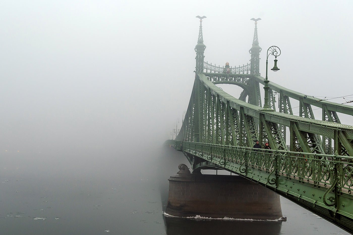 Foggy Liberty Bridge #1117