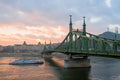 Liberty Bridge in autumn at sunset #1118