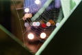 Spider web on Liberty Bridge #1124