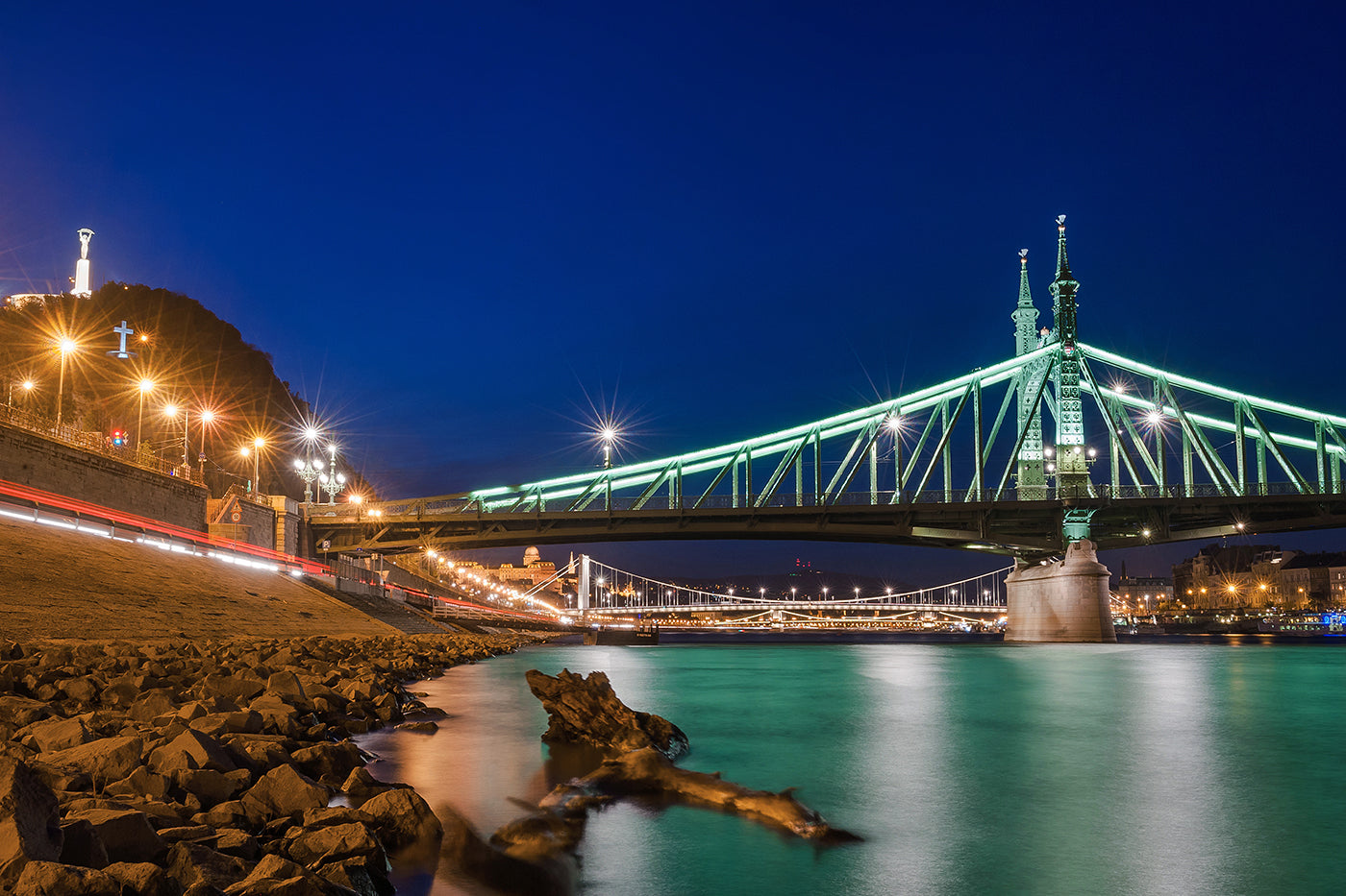 Liberty Bridge from the Danube Bank #1128
