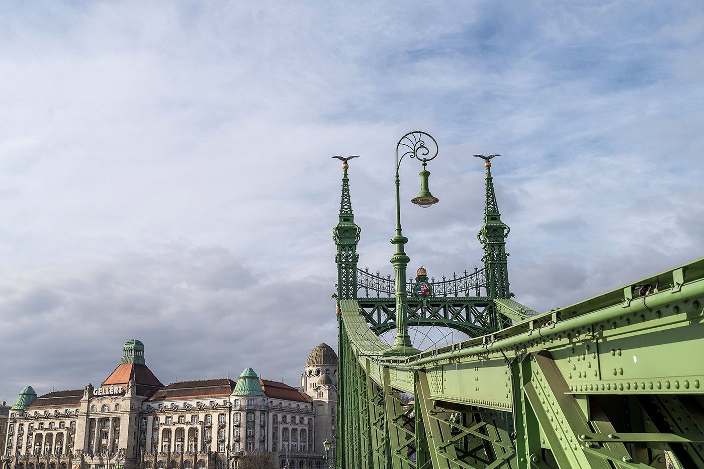 Liberty Bridge and Gellért Baths #1148