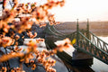 Liberty Bridge in spring from Gellért Hill #1166