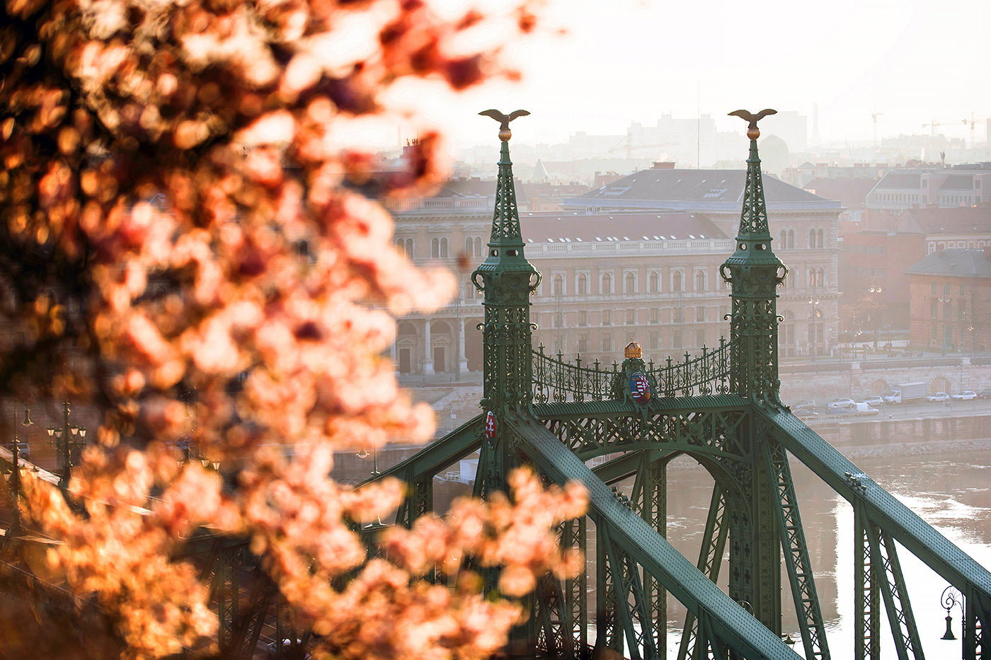 Liberty Bridge in spring from Gellért Hill #1167
