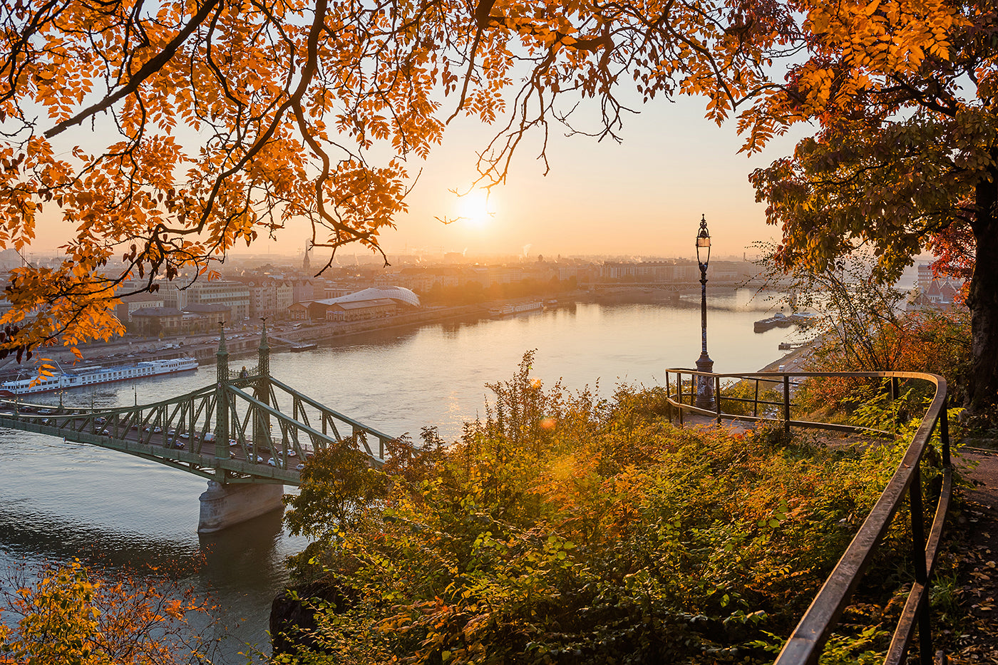Liberty Bridge from Gellért Hill in autumn #1172