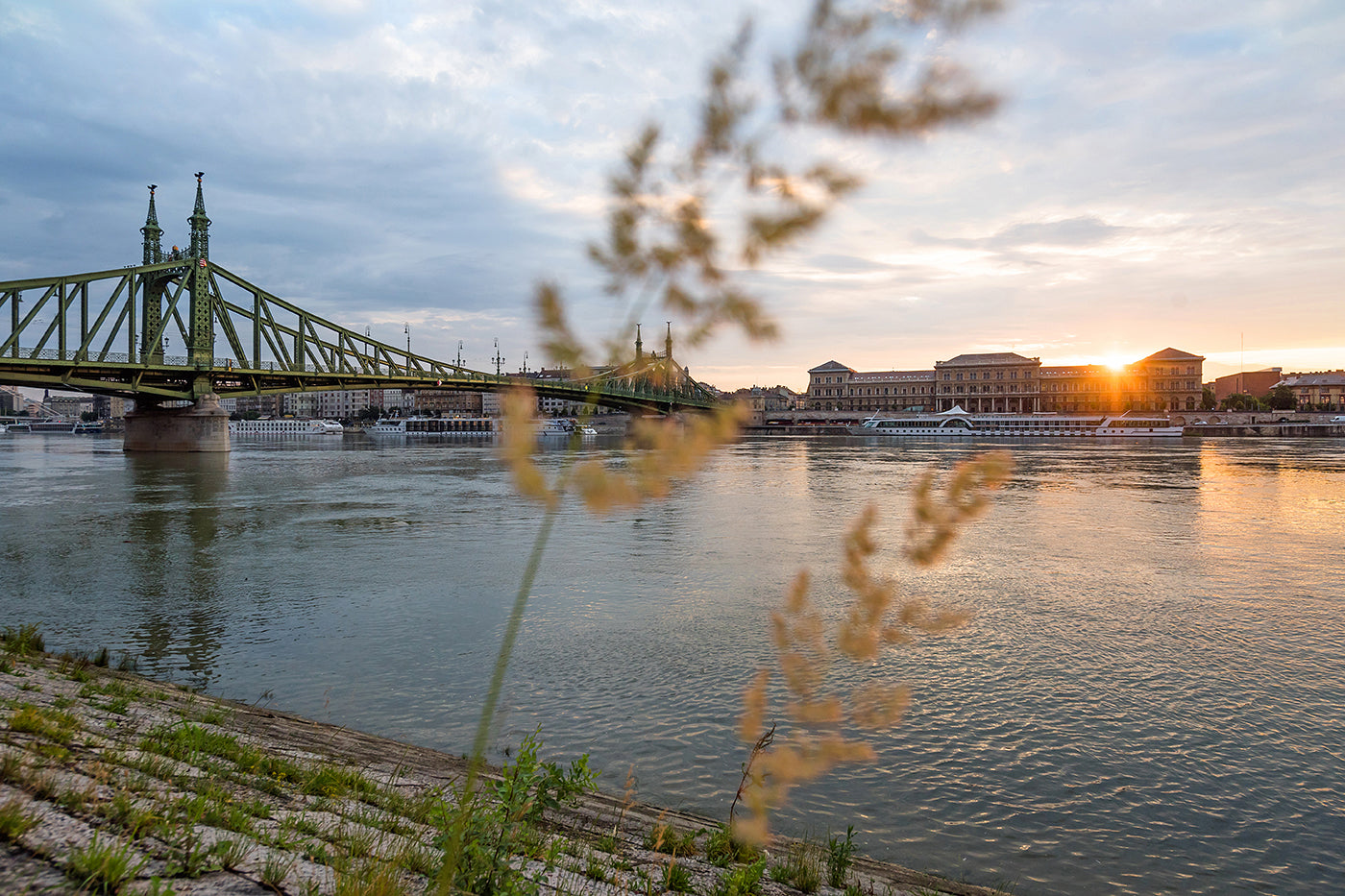 Liberty Bridge from the Danube Bank #1177