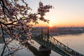 Liberty Bridge in spring from Gellért Hill #1190
