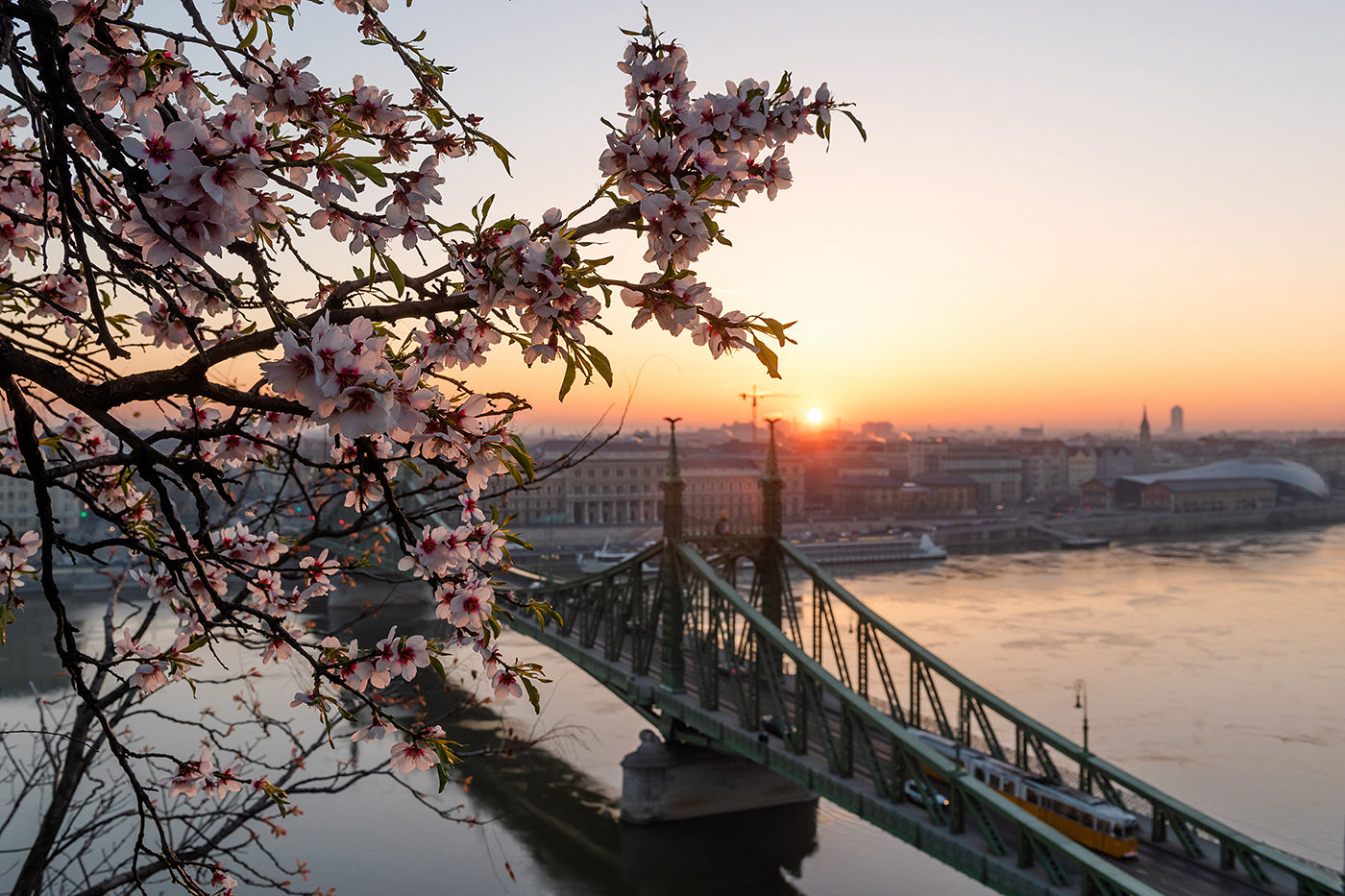 Liberty Bridge in spring from Gellért Hill #1190