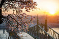 Liberty Bridge in spring from Gellért Hill #1194