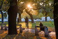 Afternoon lights in the City Park in autumn #1199