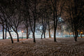 Evening lights in the City Park in winter #1210