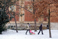 Family in the City Park in winter #1214