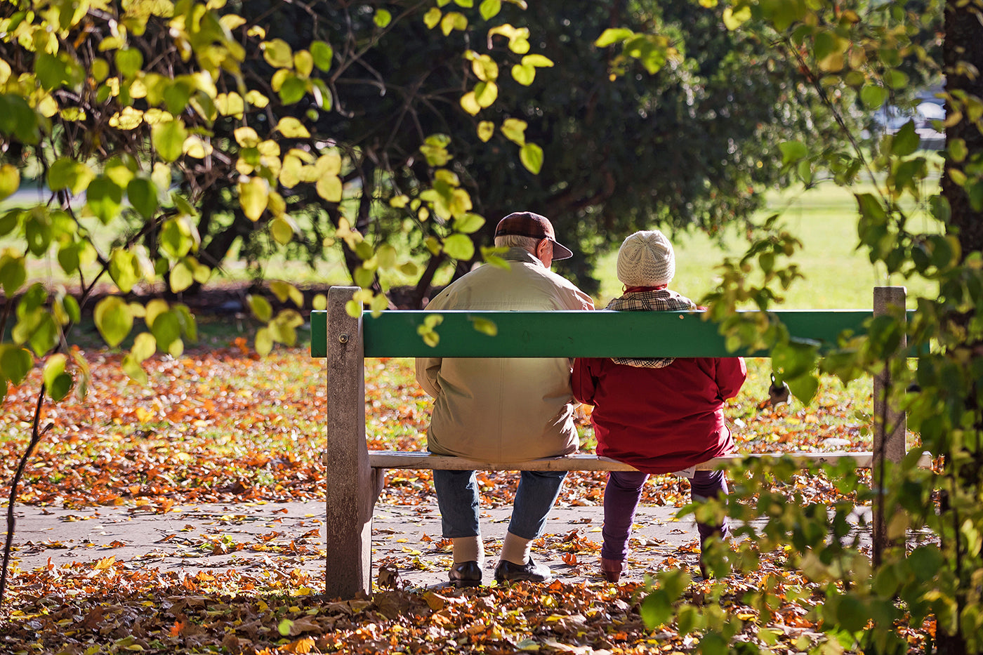 Elderly people sitting on a bench in the City Park #1218