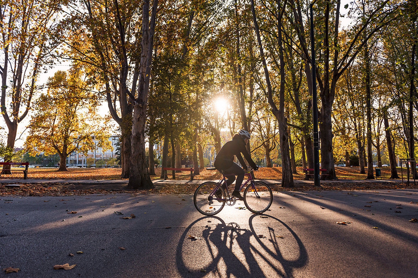 Cyclist in the autumn City Park #1219