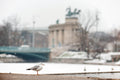 Seagull in the snowy City Park #1230