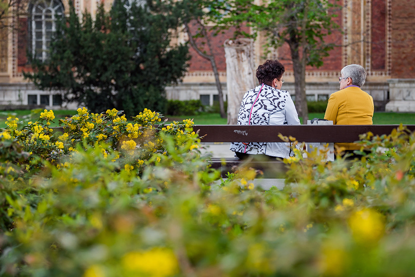 Elderly people talking in the City Park #1231