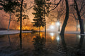 Evening lights in the City Park in winter #1232