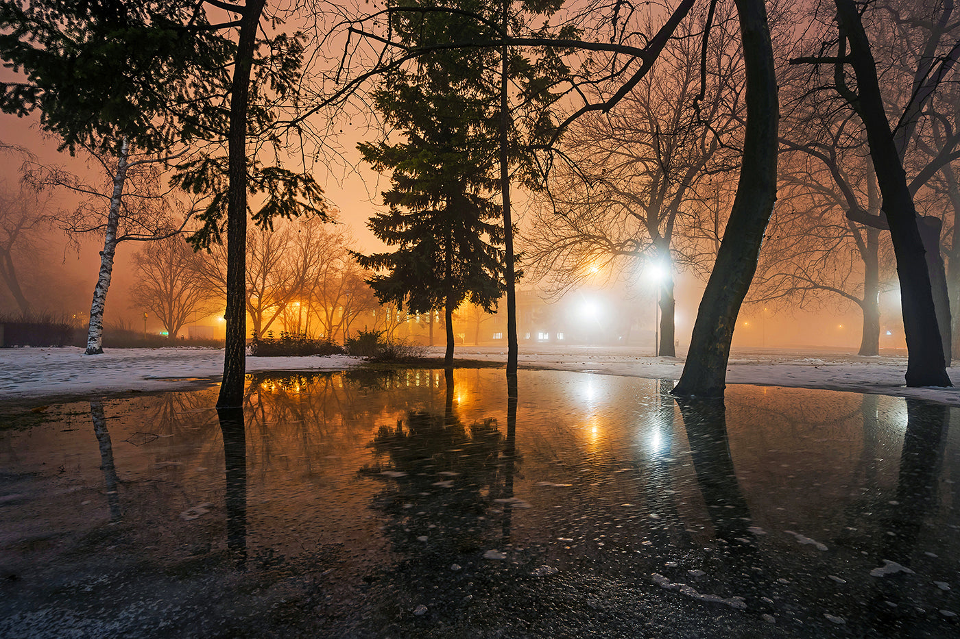 Evening lights in the City Park in winter #1232