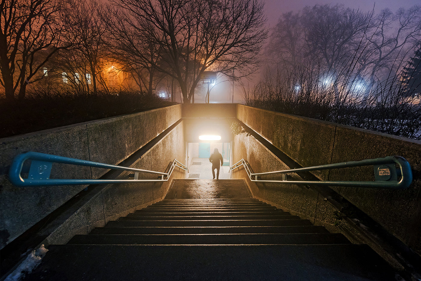 Winter evening in the City Park #1234