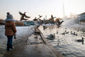 Birds at the City Park Lake in winter #1235