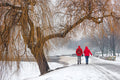 Walking in the snowy City Park #1237