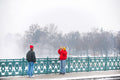 Tourists in the snowy City Park #1240