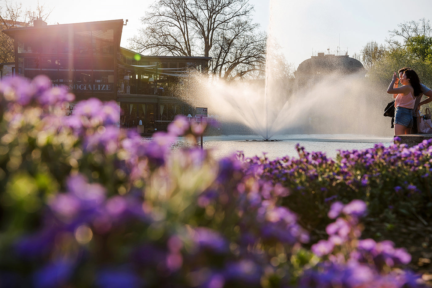Afternoon lights in the City Park #1243