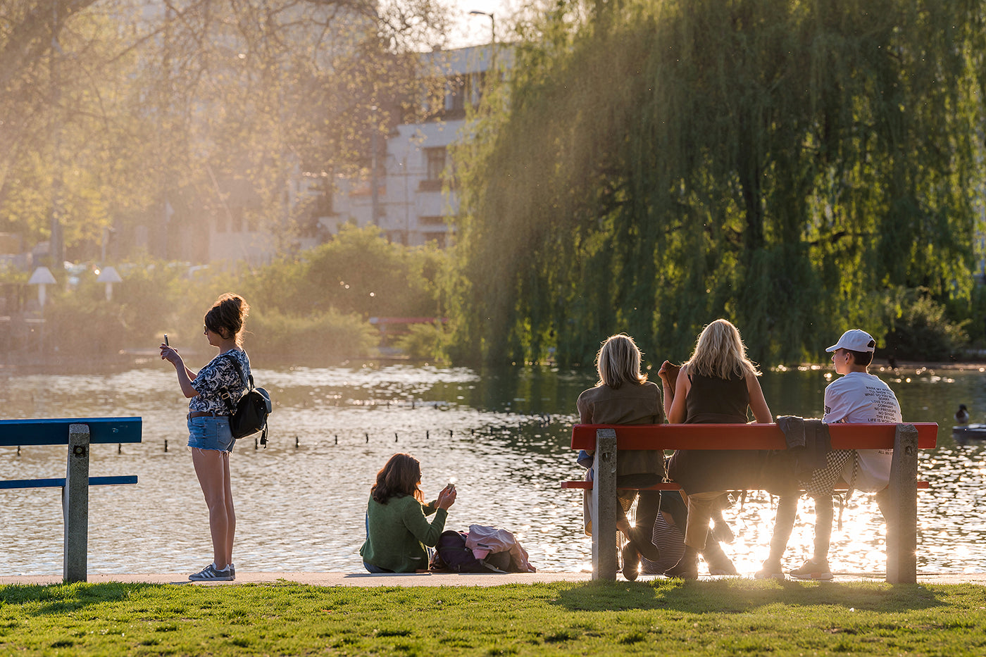 Afternoon lights in the City Park #1244