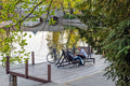 Friends chatting at the City Park lake #1245