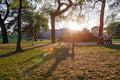 Afternoon lights in the City Park #1248