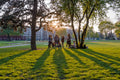 Afternoon lights in the City Park #1250