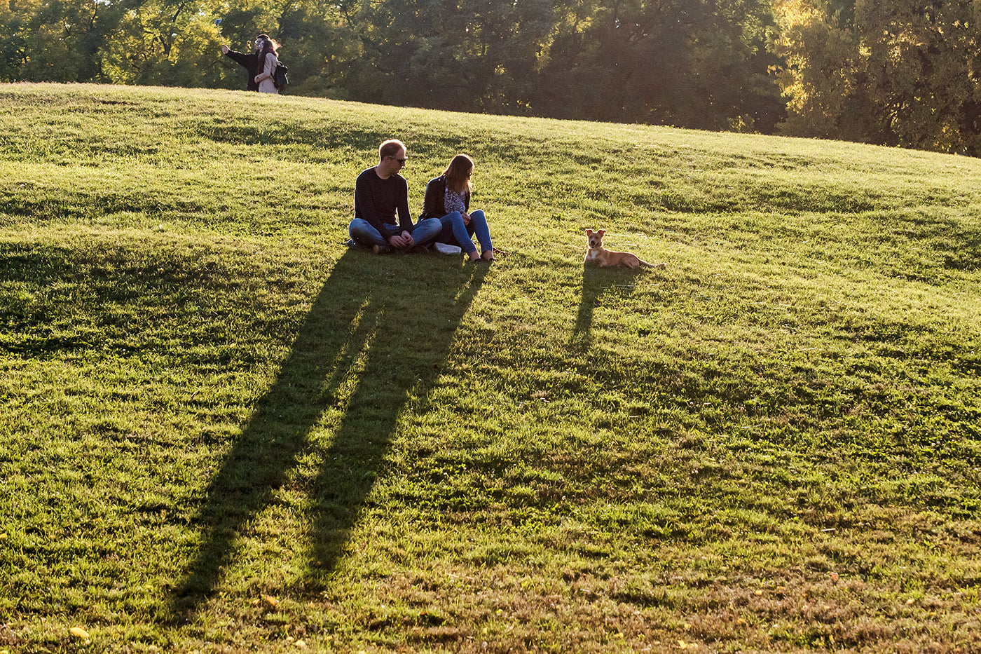Couple with dog in City Park #1276