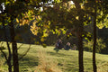 Young people with a dog in the autumn City Park #1277