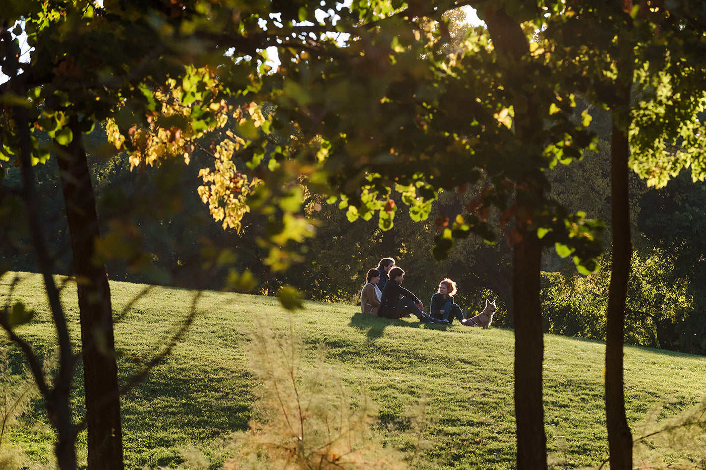 Young people with a dog in the autumn City Park #1277