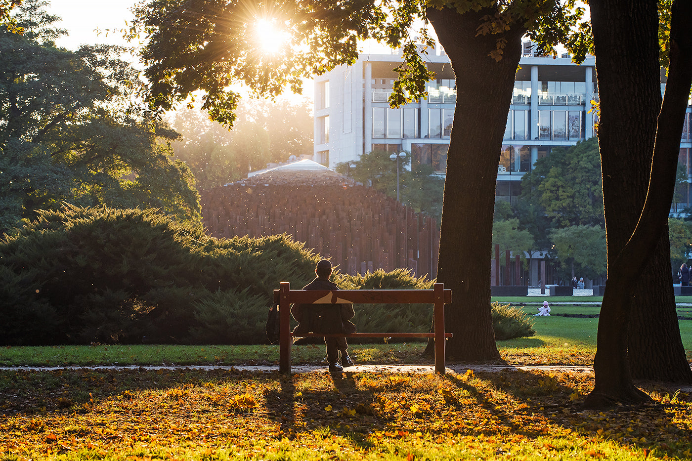 Sitting on a bench in the City Park in autumn #1286