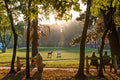 Afternoon lights in the City Park in autumn #1287
