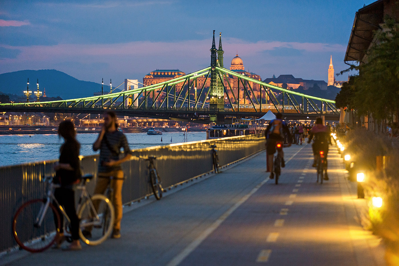 Danube bank from the Whale #1384