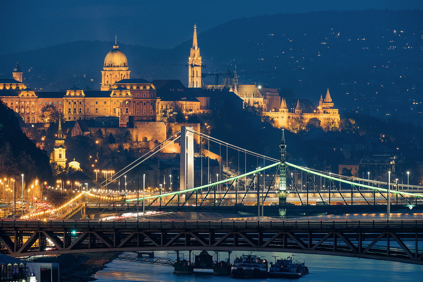 View of Budapest from the Rákóczi Bridge #1397