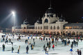 Skaters on the Artificial Ice #1513