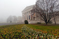 Museum of Fine Arts in fog #1547