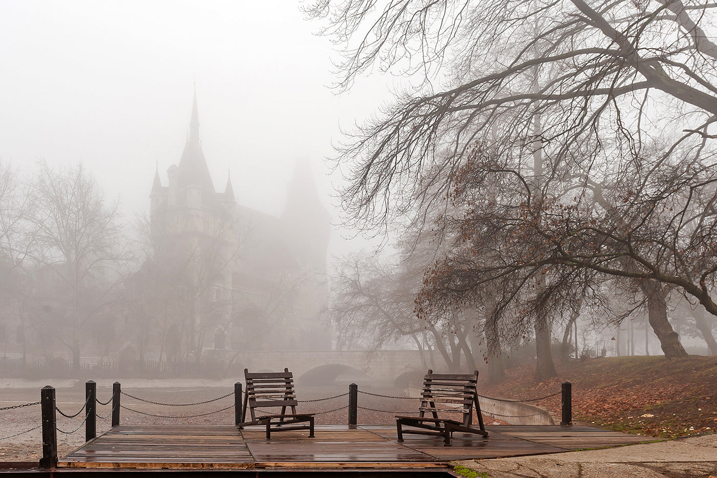 Foggy Vajdahunyad Castle #1550