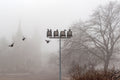 Foggy Vajdahunyad Castle #1551