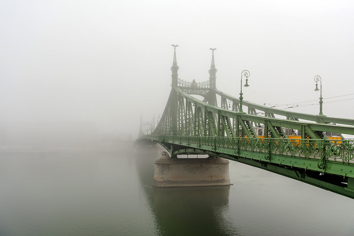 Foggy Liberty Bridge #1560