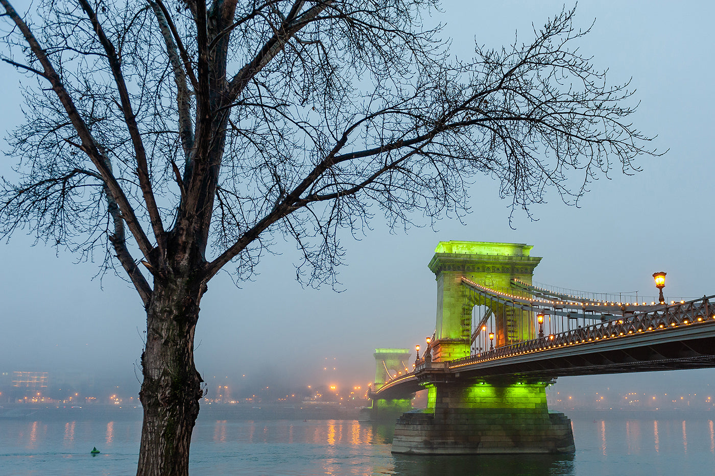 Foggy Chain Bridge at night #1570