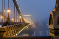 Foggy Chain Bridge at night #1573