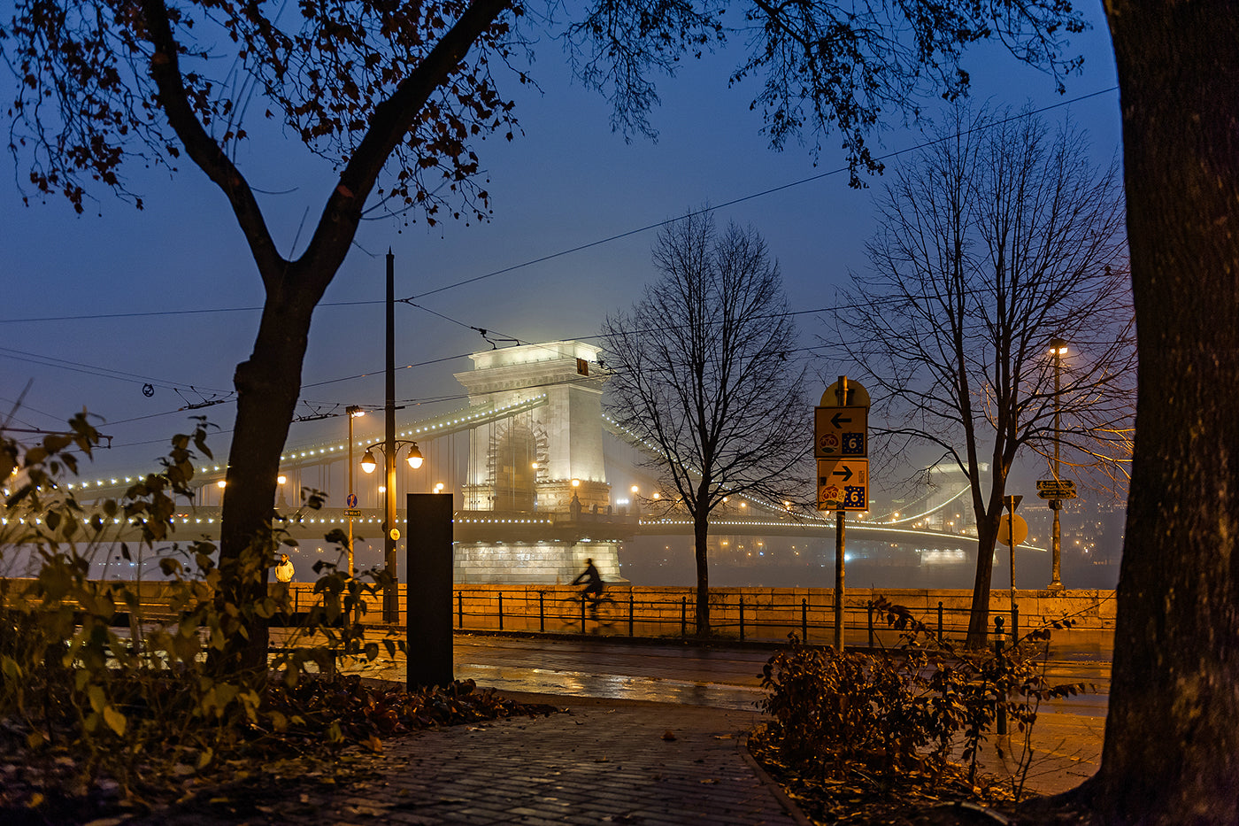 Foggy Chain Bridge from the Buda side at night #1575