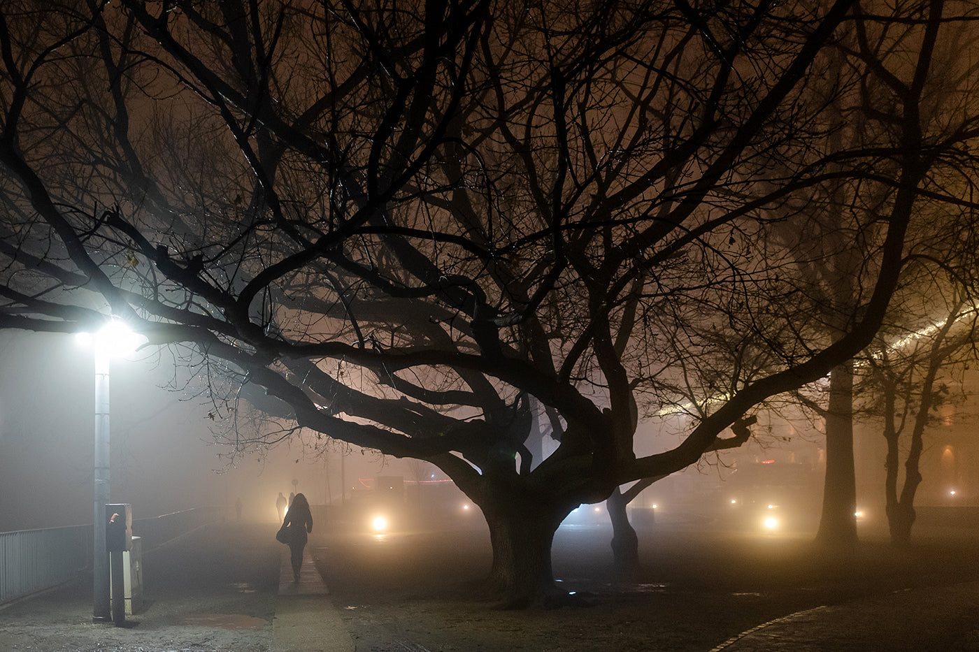 Foggy evening on Nehru beach #1584