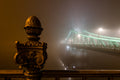 Foggy Liberty Bridge at night #1588